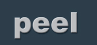 Peel Fashion Store Logo