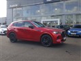 Latest Used Cars for Sale