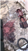 gallery thumbnail image