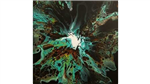gallery thumbnail image