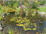 gallery thumbnail image