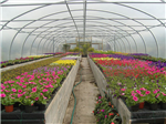 gallery thumbnail image