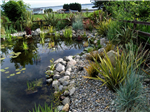 gallery thumbnail image