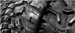 gallery thumbnail image