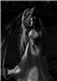 gallery thumbnail image