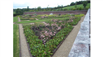 gallery thumbnail image