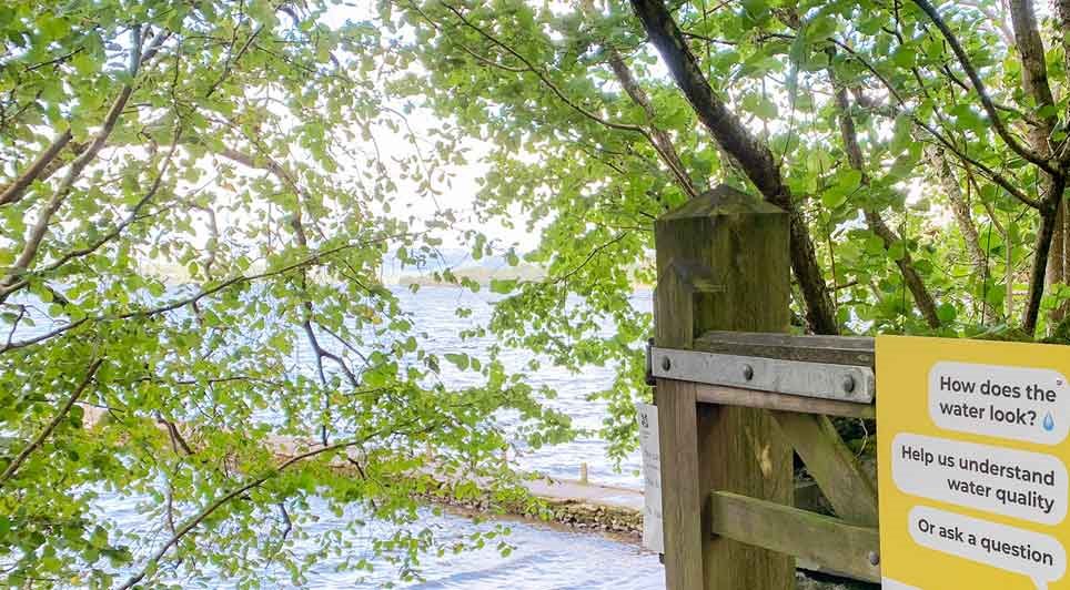 The Site Has Been Affected By Blue-Green Algae