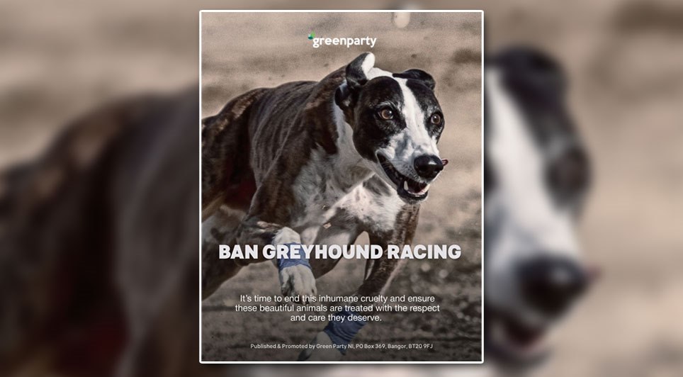 Flynn Challenges DAERA Over 'Unregulated' Industry