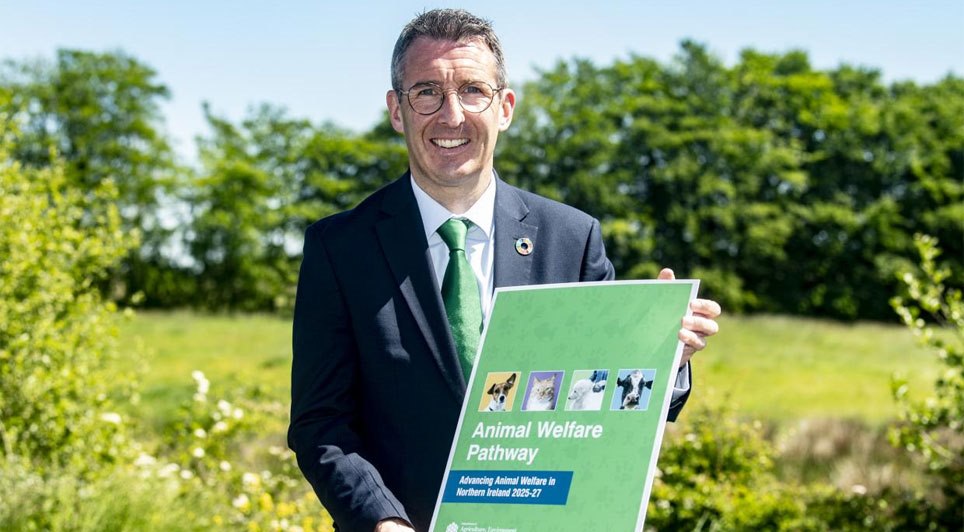 Proposals To Regulate Animal Rescues, Ban Aversive Training Devices, And Updating Dog Licensing 