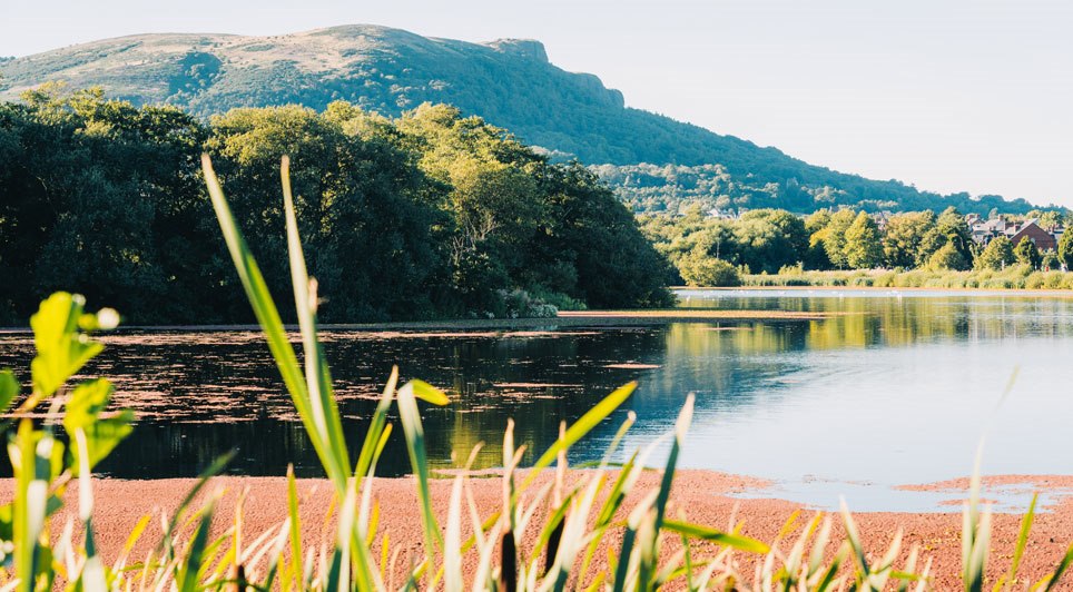 Public Is Urged To Switch To Plastic-Free Alternatives 
